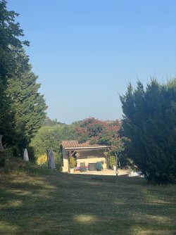 IMG_7568.jpeg