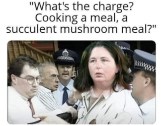 1751879265377.png