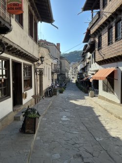 IMG_2881.jpeg