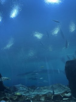 B5E8DA0D-0895-4AC8-AF04-ADFEAF49A9A2_1_105_c.jpeg