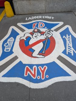 PXL_20250702_150112476.jpg