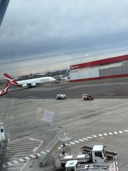 IMG_2229.jpeg