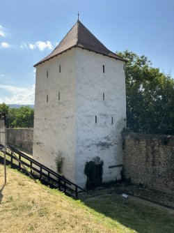 IMG_2967.jpeg
