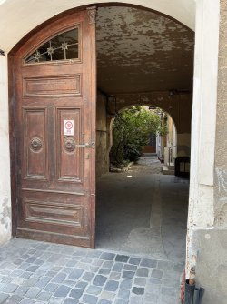 IMG_2969.jpeg