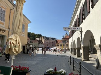 IMG_2976.jpeg