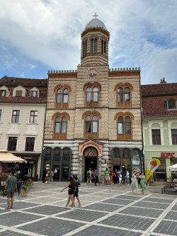 IMG_2990.jpeg