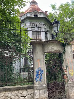 IMG_2998.jpeg