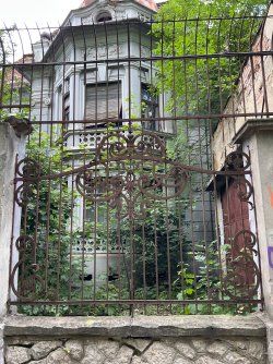 IMG_2999.jpeg