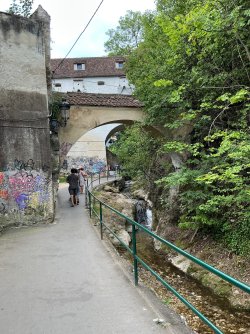 IMG_3001.jpeg