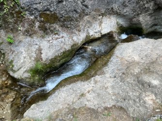 IMG_3003.jpeg