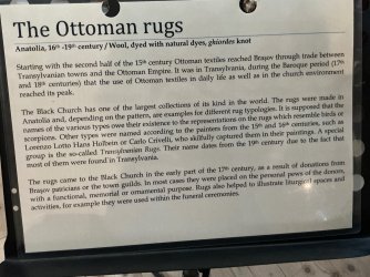 IMG_3013.jpeg