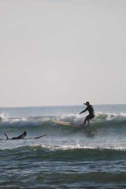 IMG_4512.JPG