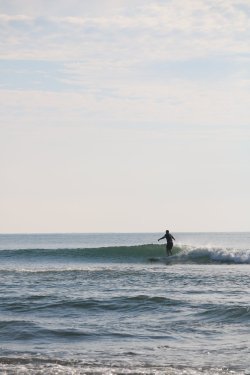 IMG_4520.JPG