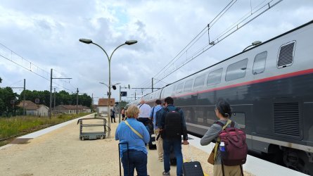 r11.jpg