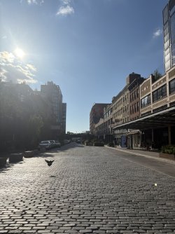 09111B44-E4EF-4F18-B6FE-6F4607549AF4_1_105_c.jpeg