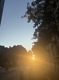 1F098C87-C43E-4053-AA6D-7763DD1216A3_1_105_c.jpeg