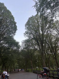A6551325-DC2F-4DCD-971B-48B9DEA49B5C_1_105_c.jpeg