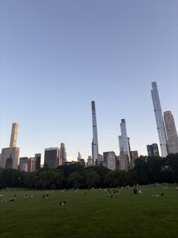 9E2E6B75-040D-46C9-A03A-B1816028A538_1_105_c.jpeg