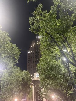 222D9358-D94E-4B66-8A46-156353BB026D_1_105_c.jpeg
