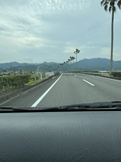 IMG_8536.JPEG