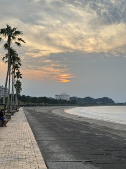IMG_8586.JPEG