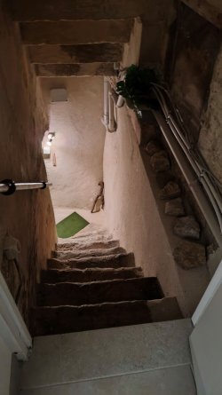 r19.jpg