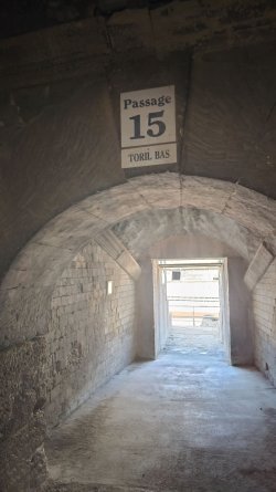 r71.jpg