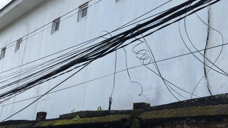IMG_5138.jpeg