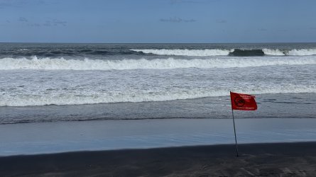 IMG_5147.jpeg