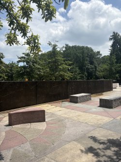 835C4EEA-DBC4-4C69-A4D6-D3361CA57B28_1_105_c.jpeg