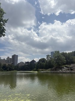 AB42F838-3B0D-4617-8D37-9E8815209167_1_105_c.jpeg