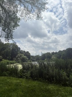 1F74A63B-E621-43B0-8E65-F66A64A7A7F9_1_105_c.jpeg
