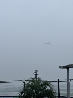 IMG_8599.JPEG
