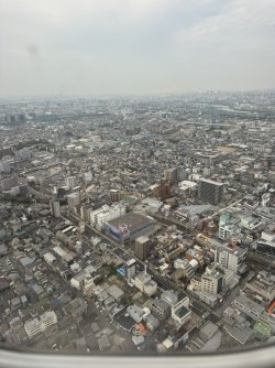 IMG_8630.JPEG