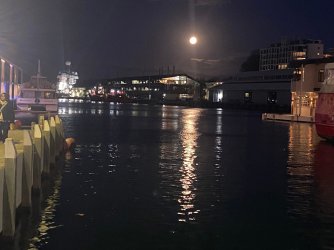 IMG_2199.jpeg