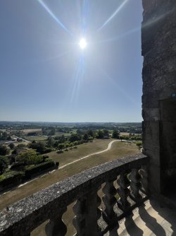 IMG_7341.jpeg