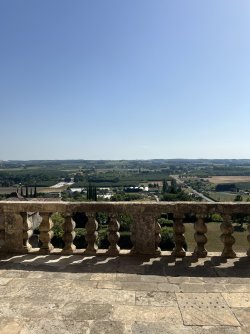 IMG_7335.jpeg