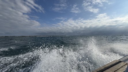 IMG_5244.jpeg