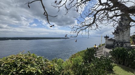 IMG_5320.jpeg