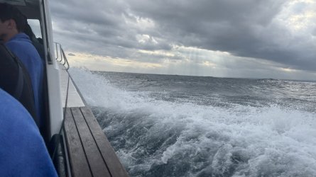 IMG_5370.jpeg