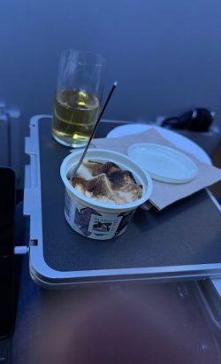 IMG_9225.jpeg