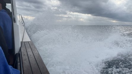 IMG_5379.jpeg