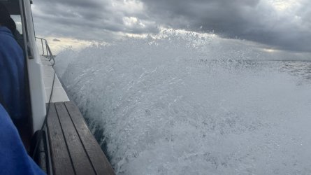 IMG_5383.jpeg