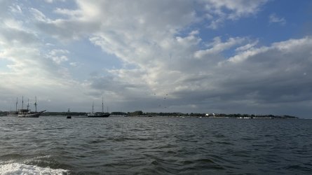 IMG_5384.jpeg