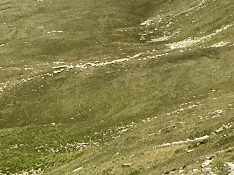 IMG_3089.jpeg