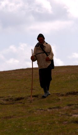 IMG_3832.jpeg