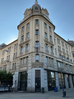 IMG_3842.jpeg