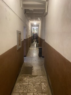 IMG_4822.jpeg