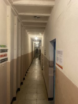 IMG_4823.jpeg