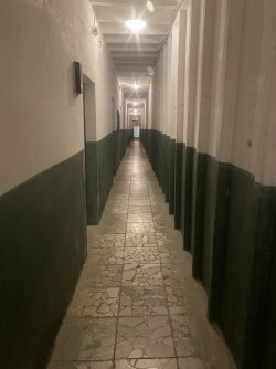 IMG_4829.jpeg